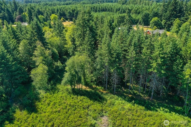 243 Hawkins Rd, Winlock, WA 98596 - photo 5