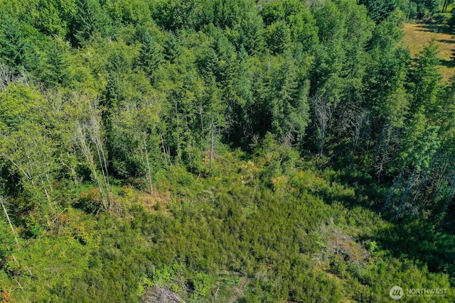 243 Hawkins Rd, Winlock, WA 98596 - photo 6