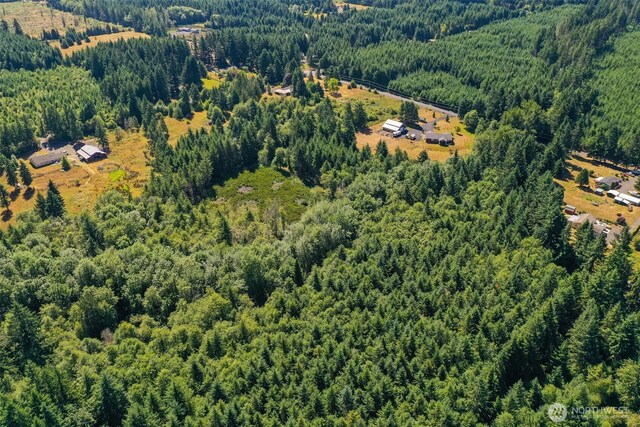 243 Hawkins Rd, Winlock, WA 98596 - photo 8