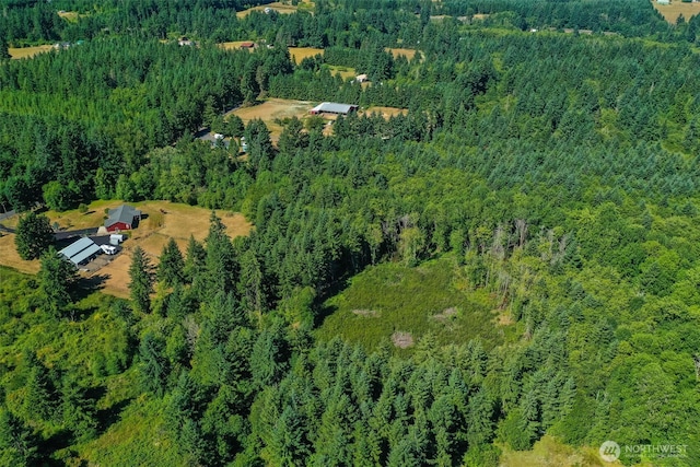 243 Hawkins Rd, Winlock, WA 98596 - photo 10