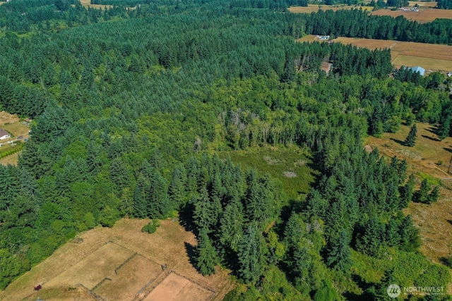243 Hawkins Rd, Winlock, WA 98596 - photo 11
