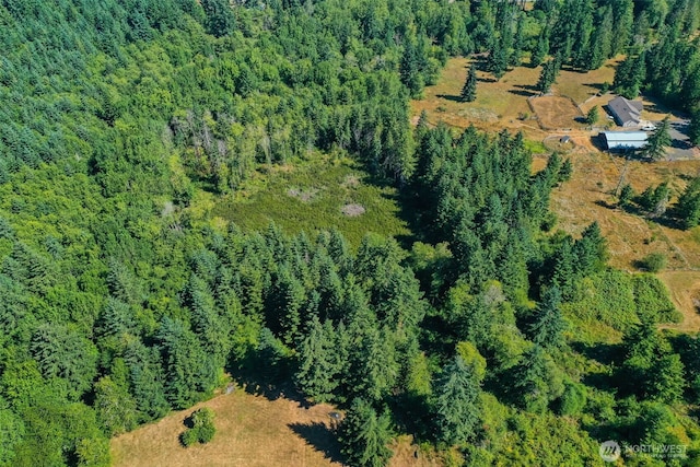 243 Hawkins Rd, Winlock, WA 98596 - photo 12