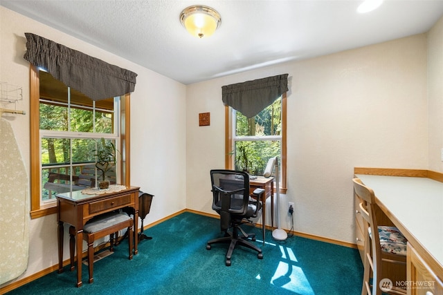 30410 188th Pl SE, Monroe, WA 98272 - photo 14