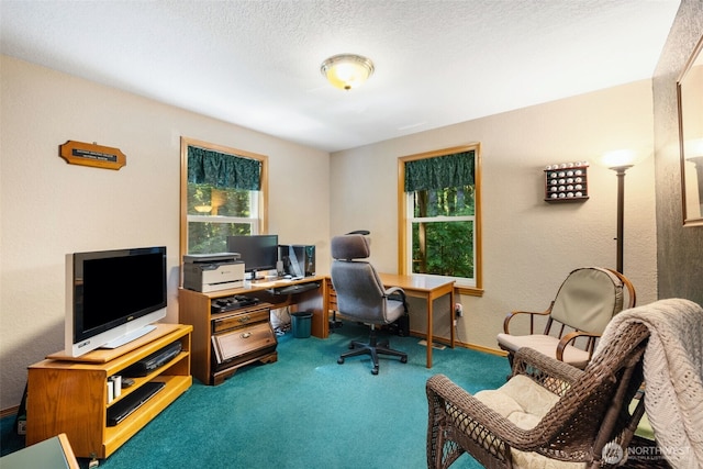 30410 188th Pl SE, Monroe, WA 98272 - photo 15