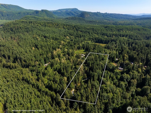 30410 188th Pl SE, Monroe, WA 98272 - photo 40