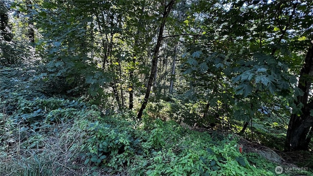 14055 169th Ave SE, Renton, WA 98059 - photo 1