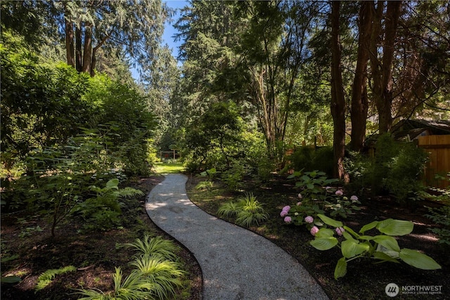 18269 35th Ave NE, Lake Forest Park, WA 98155 - photo 30