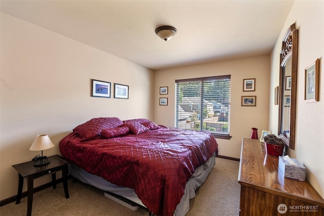 8504 229th Street Ct E, Graham, WA 98338 - photo 25