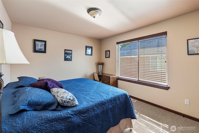 8504 229th Street Ct E, Graham, WA 98338 - photo 27