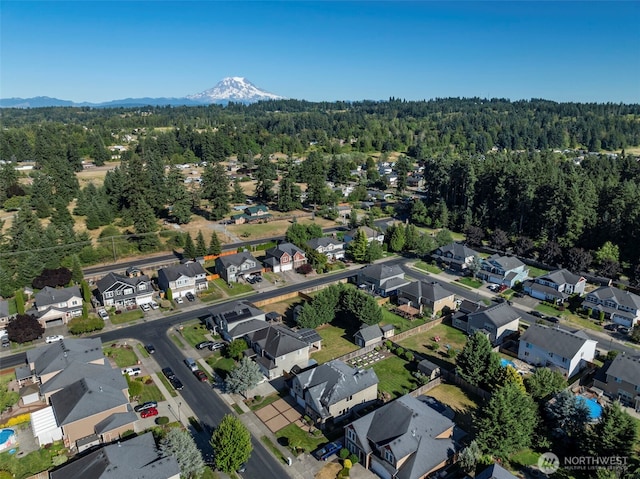 8504 229th Street Ct E, Graham, WA 98338 - photo 39