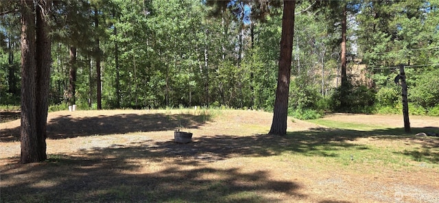 67 Northcott Rd, Winthrop, WA 98862 - view of woods