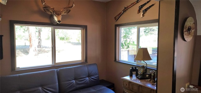 67 Northcott Rd, Winthrop, WA 98862 - sitting room featuring plenty of natural light