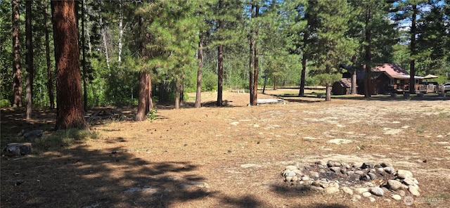 67 Northcott Rd, Winthrop, WA 98862 - view of yard