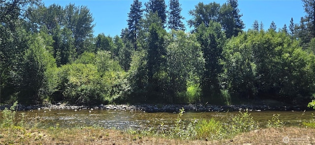 67 Northcott Rd, Winthrop, WA 98862 - view of local wilderness