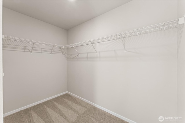 3913 23rd Ave NE Unit 97, Olympia, WA 98516 - spacious closet featuring carpet floors