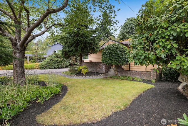 11706 40th Ave NE, Seattle, WA 98125 - photo 2