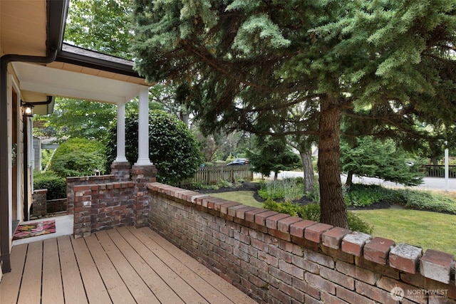 11706 40th Ave NE, Seattle, WA 98125 - photo 3