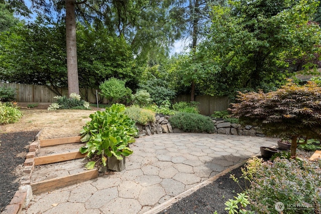 11706 40th Ave NE, Seattle, WA 98125 - photo 20