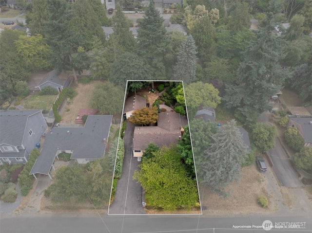 11706 40th Ave NE, Seattle, WA 98125 - photo 26