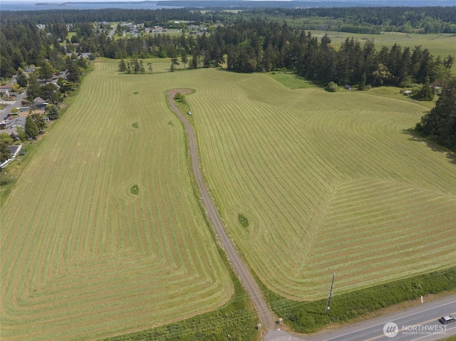 83 Medsker Rd, Sequim, WA 98382 - photo 9