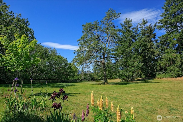 83 Medsker Rd, Sequim, WA 98382 - photo 25
