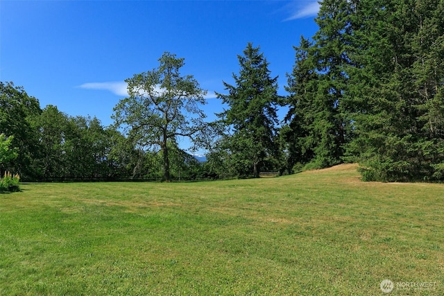 83 Medsker Rd, Sequim, WA 98382 - photo 34