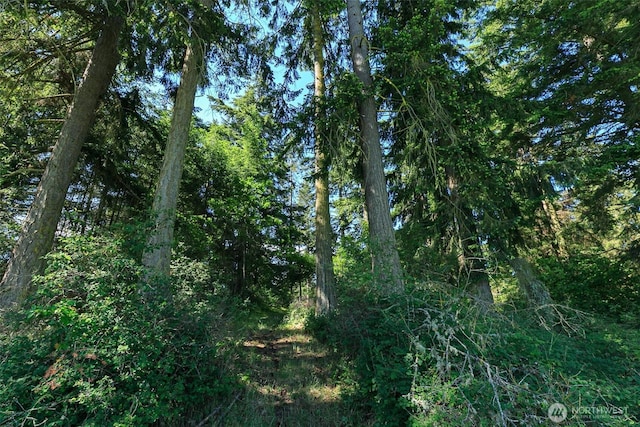 83 Medsker Rd, Sequim, WA 98382 - photo 36