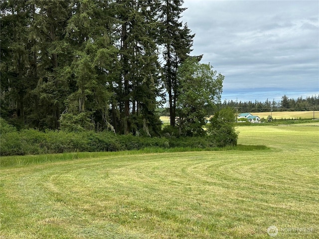 83 Medsker Rd, Sequim, WA 98382 - photo 33