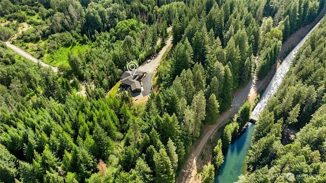 1450 Nelson Siding, Cle Elum, WA 98922 - drone / aerial view of a forest