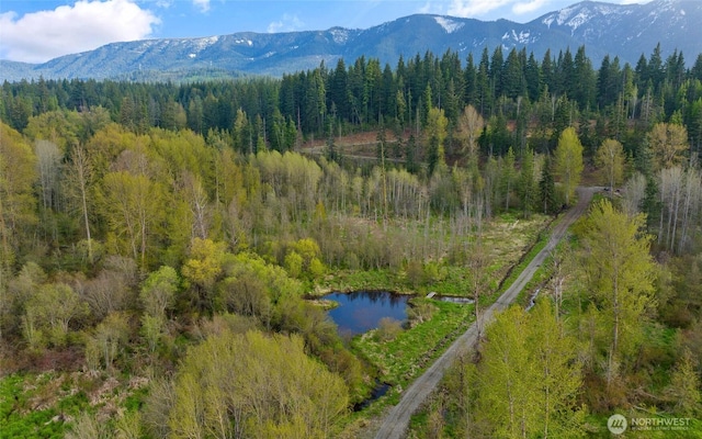 1450 Nelson Siding, Cle Elum, WA 98922 - bird's eye view of a forest and a mountainous background