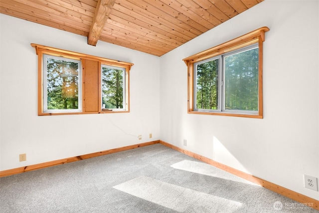 3542 Constitution Rd, Lummi Island, WA 98262 - photo 21