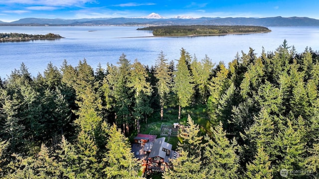3542 Constitution Rd, Lummi Island, WA 98262 - photo 38
