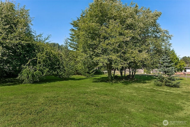 1101 Brook Dr, Montesano, WA 98563 - photo 26