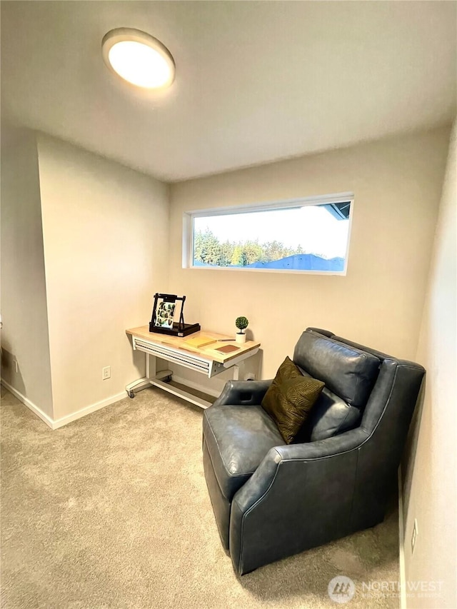 35542 57th Ave S, Auburn, WA 98001 - photo 22