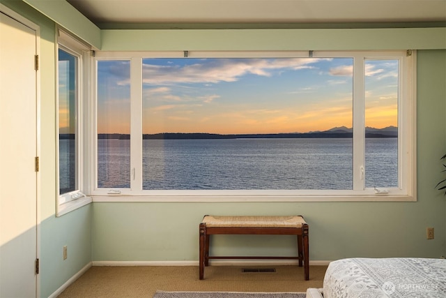 4400 Beach Dr SW, Seattle, WA 98116 - photo 28