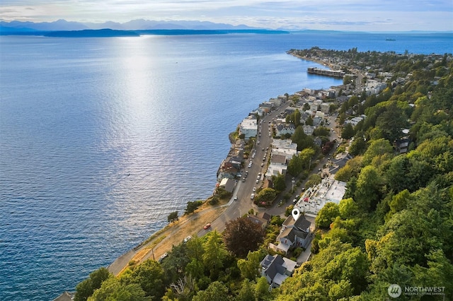 4400 Beach Dr SW, Seattle, WA 98116 - photo 40