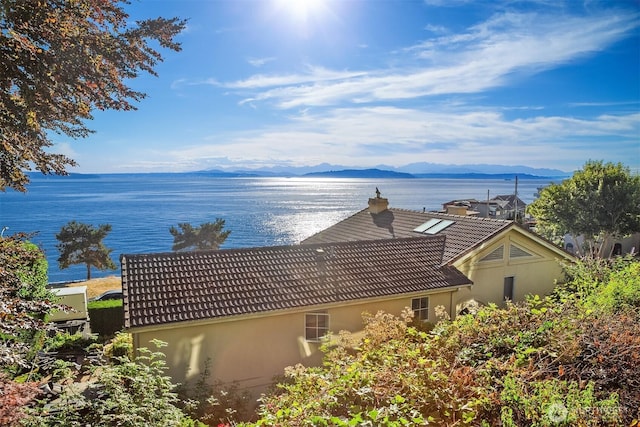 4400 Beach Dr SW, Seattle, WA 98116 - photo 23