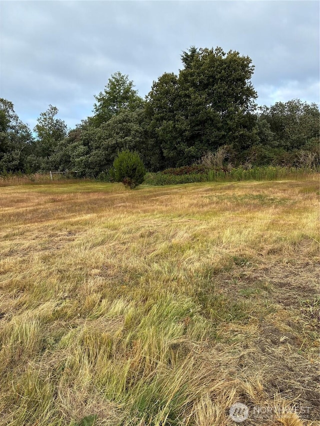34650 W Ln, Oysterville, WA 98641 - photo 29