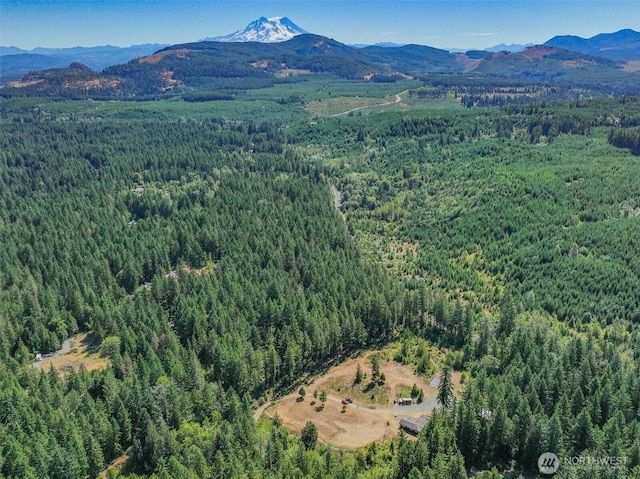 19002 Sorenson Rd SE, Yelm, WA 98597 - drone / aerial view of a mountain backdrop