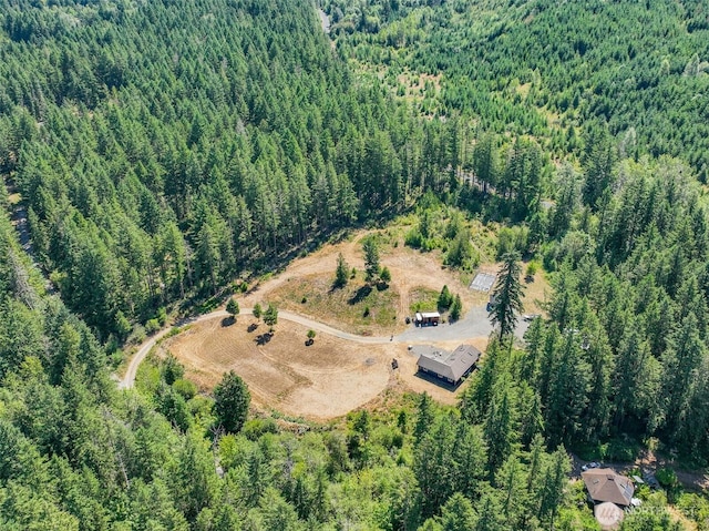 19002 Sorenson Rd SE, Yelm, WA 98597 - aerial view of property's location with a heavily wooded area