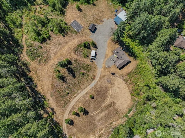 19002 Sorenson Rd SE, Yelm, WA 98597 - view of rural area