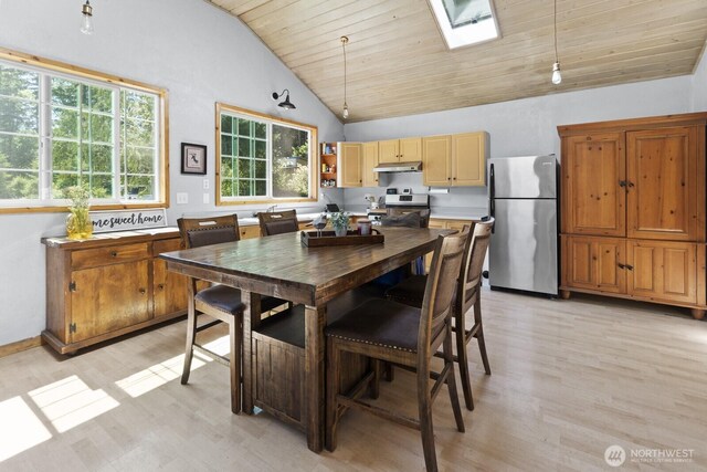 19002 Sorenson Rd SE, Yelm, WA 98597 - kitchen with appliances with stainless steel finishes, light wood-style floors, under cabinet range hood, a skylight, and wood ceiling