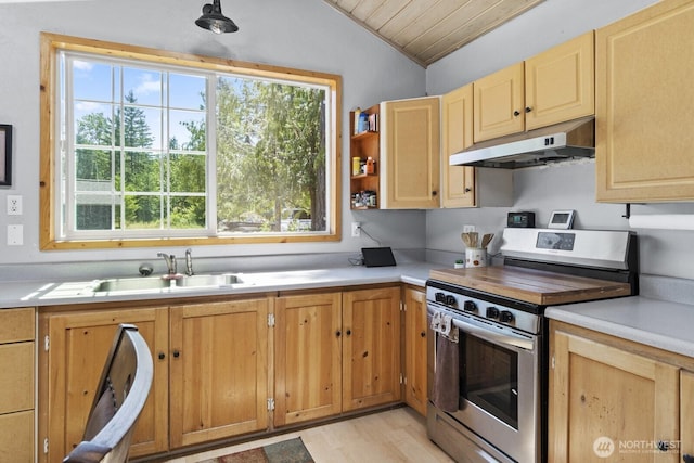 19002 Sorenson Rd SE, Yelm, WA 98597 - kitchen featuring stainless steel electric range, under cabinet range hood, vaulted ceiling, light countertops, and light wood finished floors