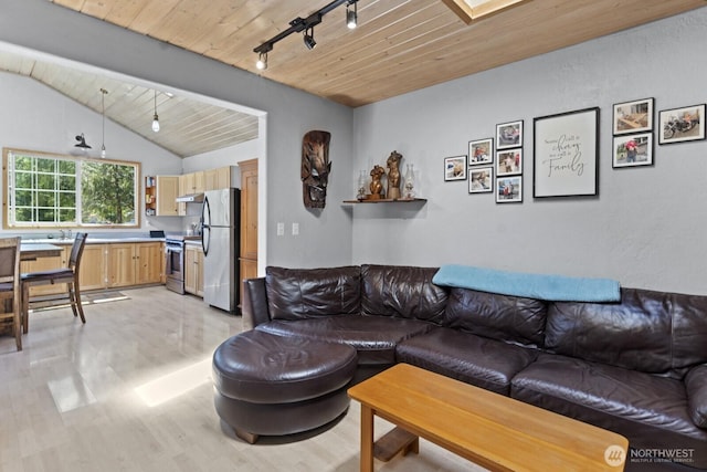 19002 Sorenson Rd SE, Yelm, WA 98597 - living room featuring light wood-style flooring, wooden ceiling, rail lighting, and vaulted ceiling