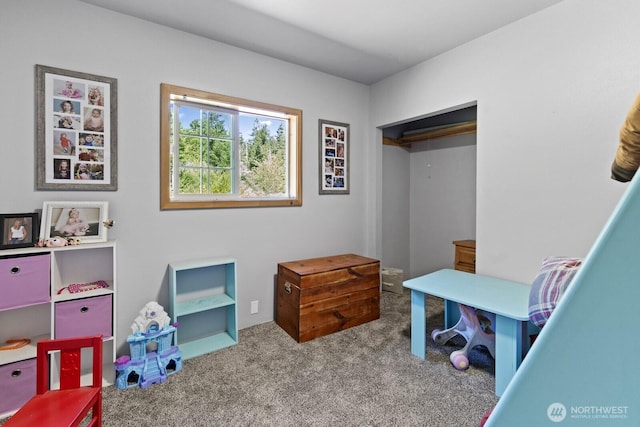 19002 Sorenson Rd SE, Yelm, WA 98597 - rec room with carpet floors