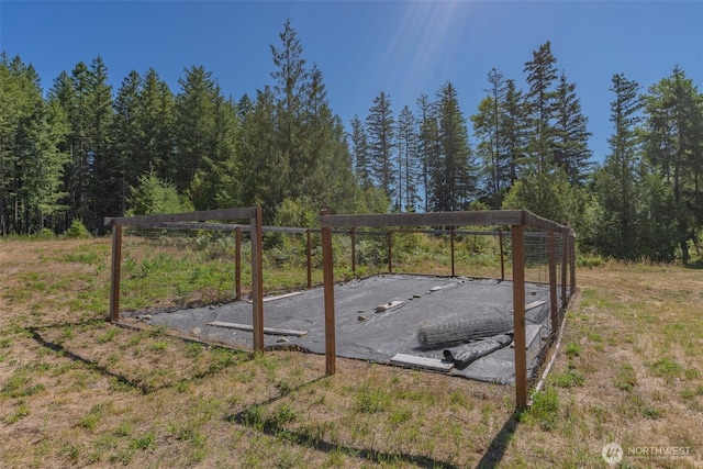19002 Sorenson Rd SE, Yelm, WA 98597 - view of yard with a detached carport and a forest view