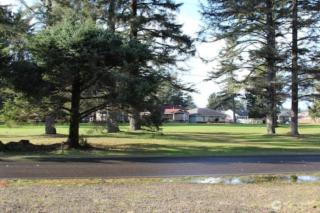 152 Dolphin Ave SE, Ocean Shores, WA 98569 - photo 2