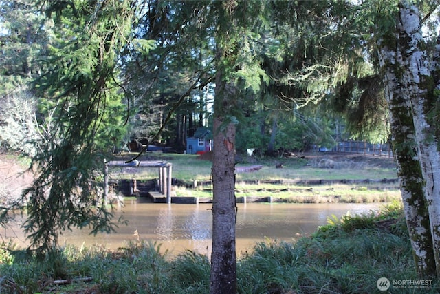 152 Dolphin Ave SE, Ocean Shores, WA 98569 - photo 4