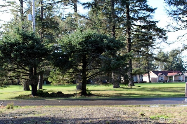 152 Dolphin Ave SE, Ocean Shores, WA 98569 - photo 5