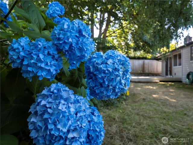 1908 SE 21st Pl, Renton, WA 98055 - photo 25